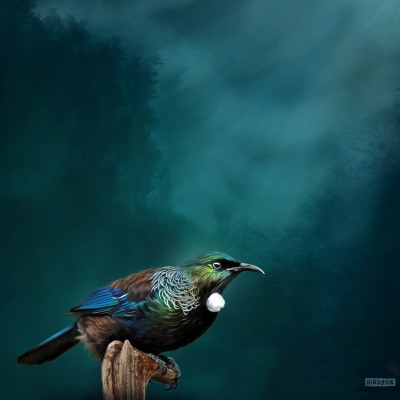 Tui Respite