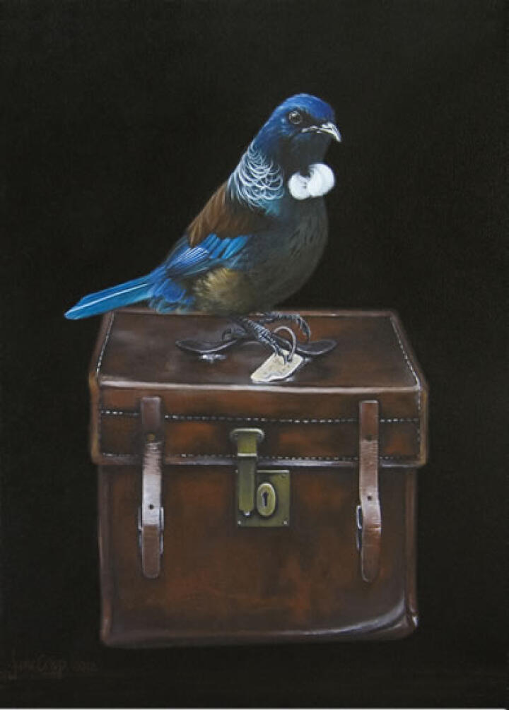 Tui's Case