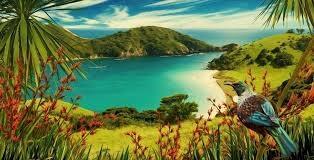 Tutukaka
