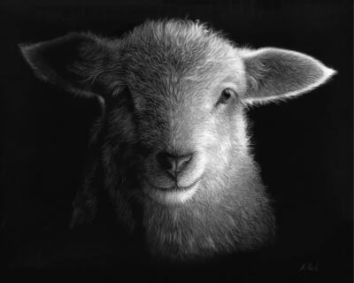Two Shakes Of A Lamb's Tail