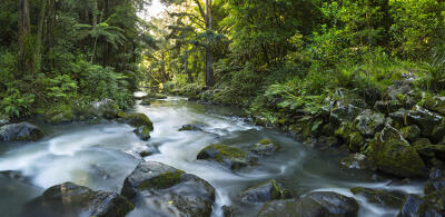 Whangarei Falls II