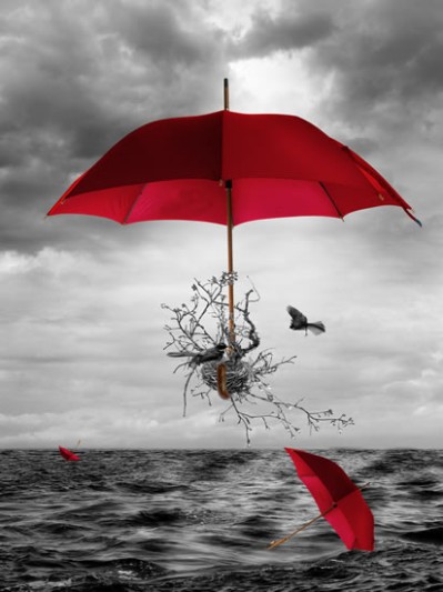Umbrella Journey