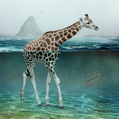 Undersea Stranded