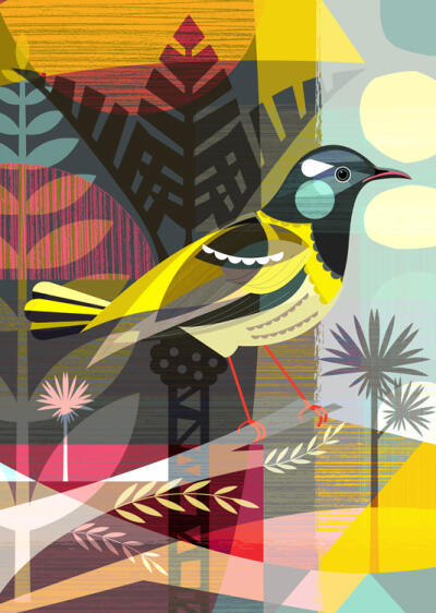NZ Hihi