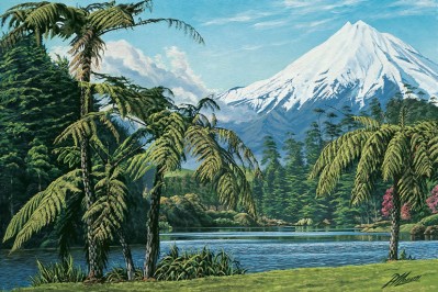 View Of Mt Taranaki