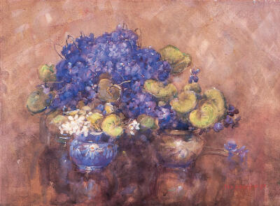 Violets