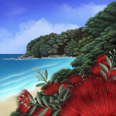 Coopers Beach