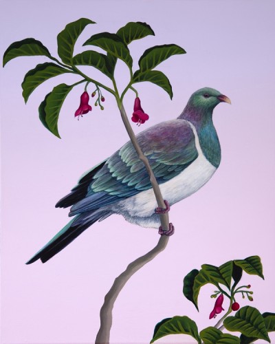 Puriri Kereru (AE)