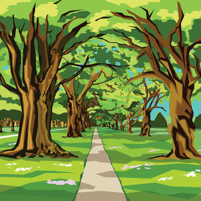 Hagley Summer