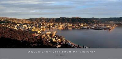 Wellington From Mt Victoria 2
