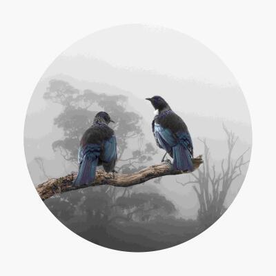 Tui Duo