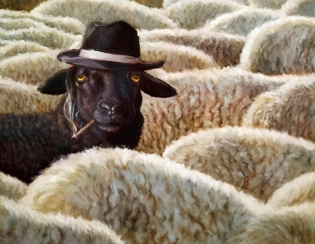 The Black Sheep