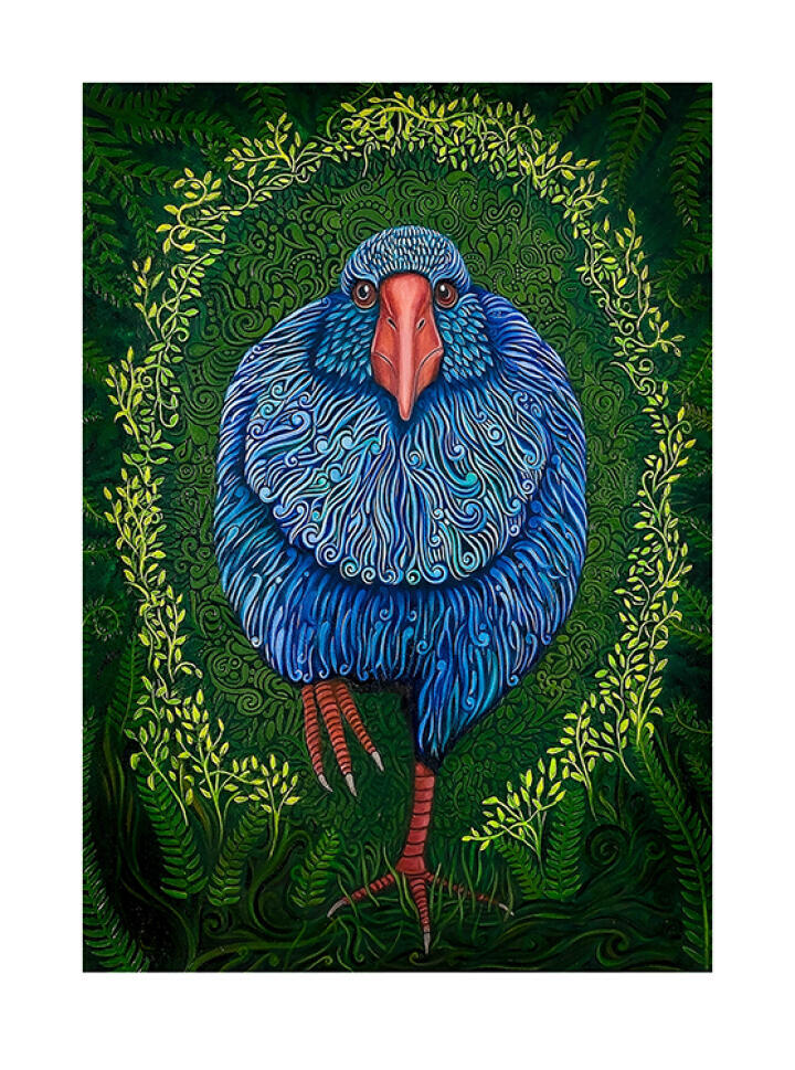 Takahē - Emergence