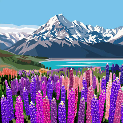 Mt Cook Lupins