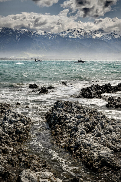 Kaikoura Boats